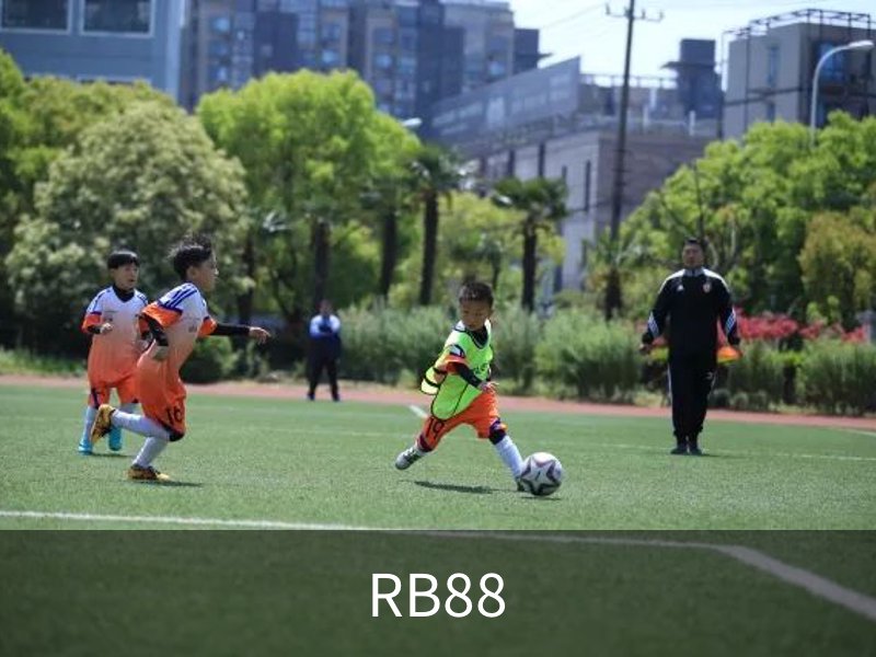 RB88介绍